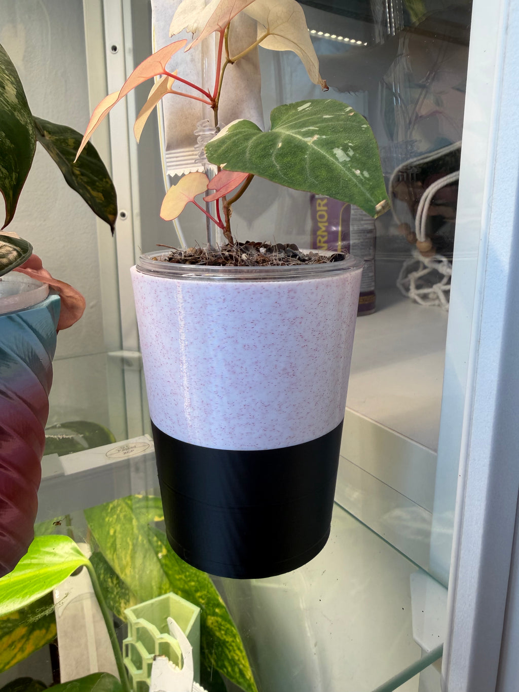 Pot auto-arrosant évasé