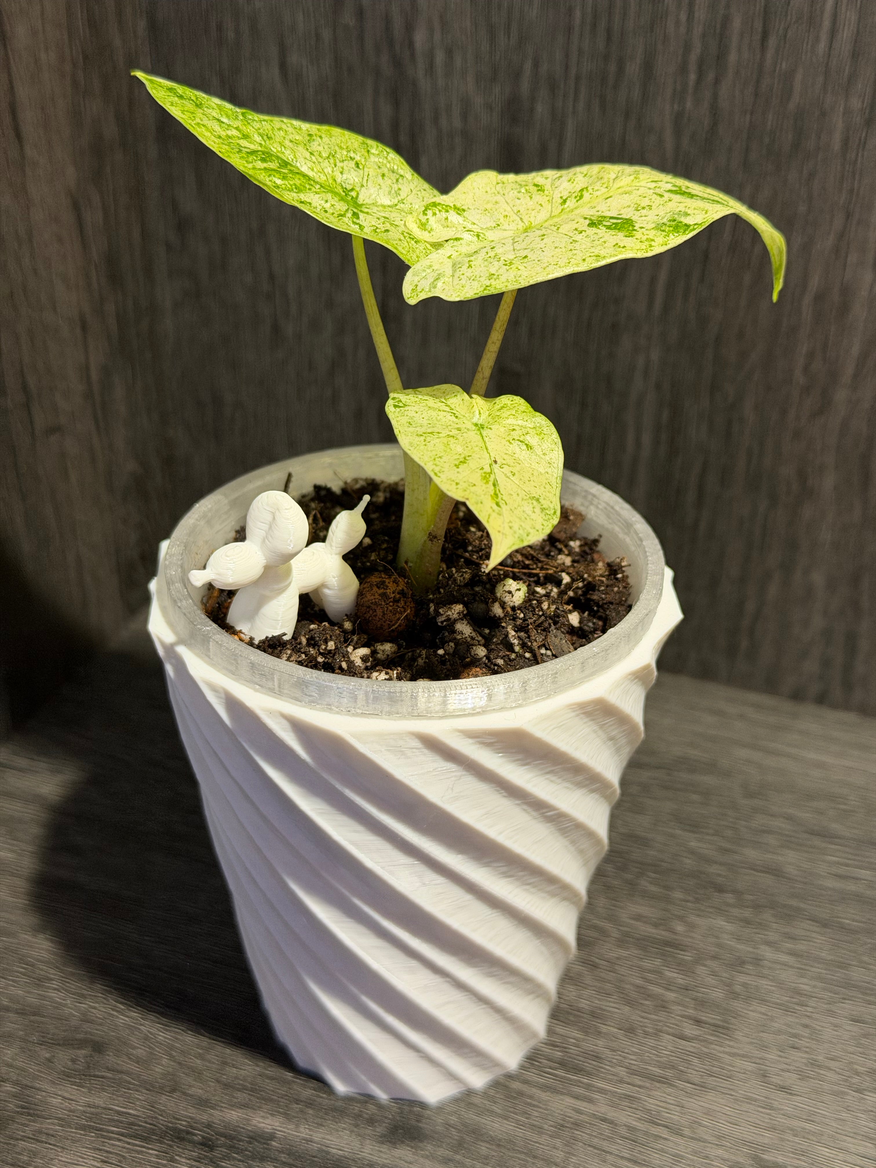 Pot auto-arrosant évasé