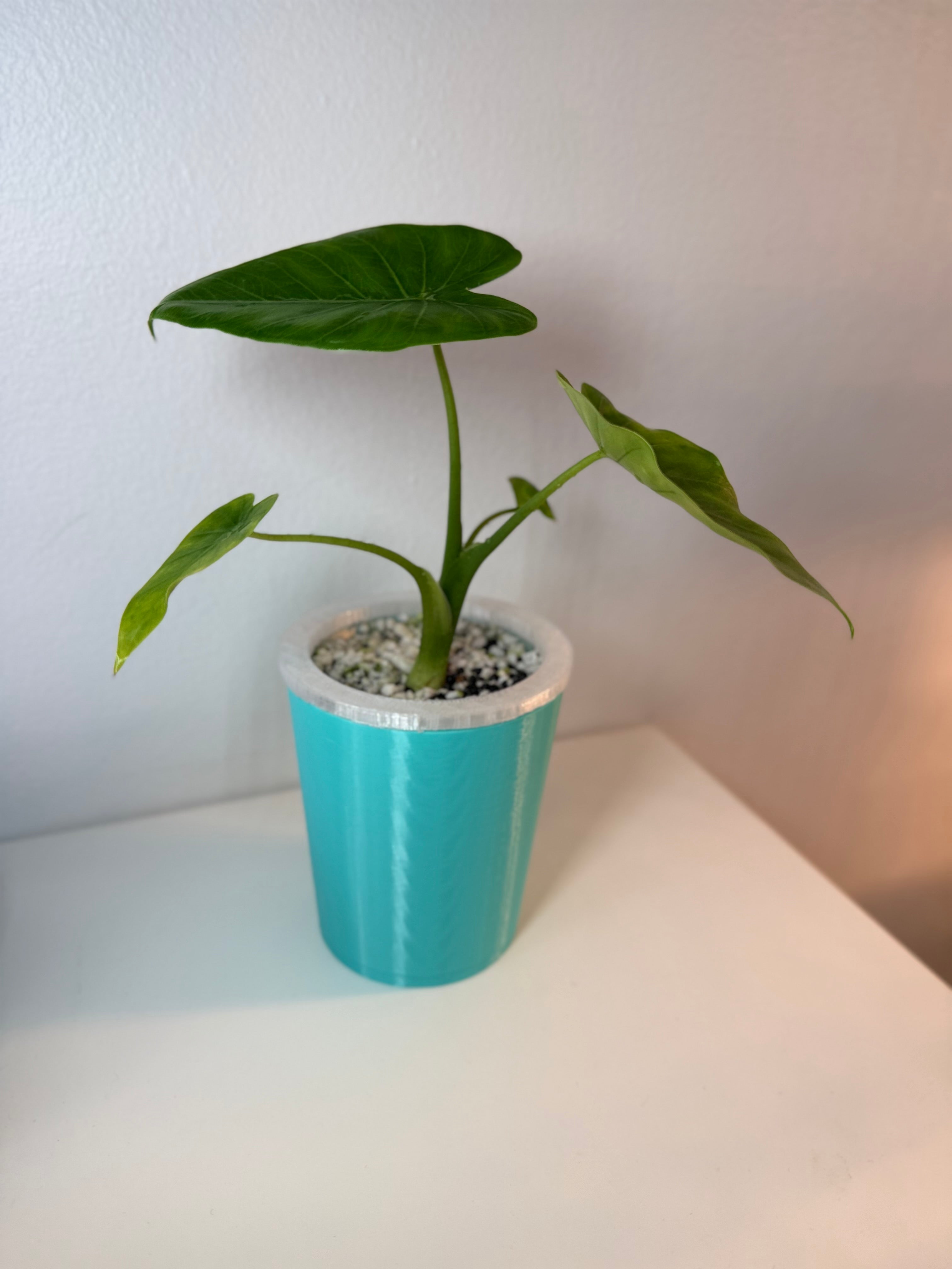 Pot auto-arrosant évasé