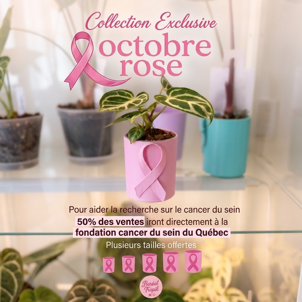 Pot Octobre Rose — Collection exclusive