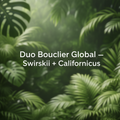 Duo Bouclier Global